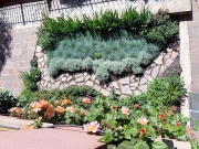Un po' di amore per il giardino del condominio