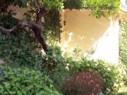 Due aiuole ed un cortile