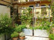 Raggi di sole